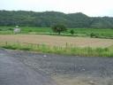 dscf0375.jpg