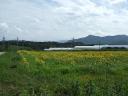dscf0471.jpg